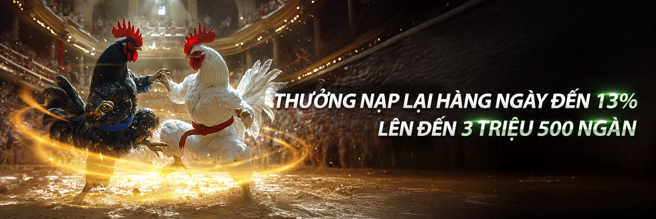 Đá gà trực tiếp hôm nay hôm nay